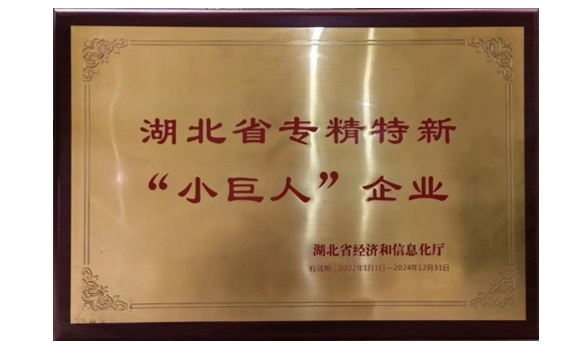 湖北省专精特新“小巨人”企业